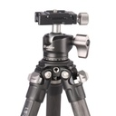 223C Tripod +LH-25 ball head