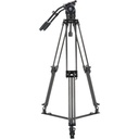 BCT-3203 Carbon Fiber Tripod & BCH-30 Video Head Bundle